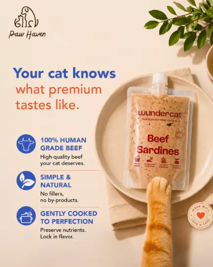 Paw Haven campaign